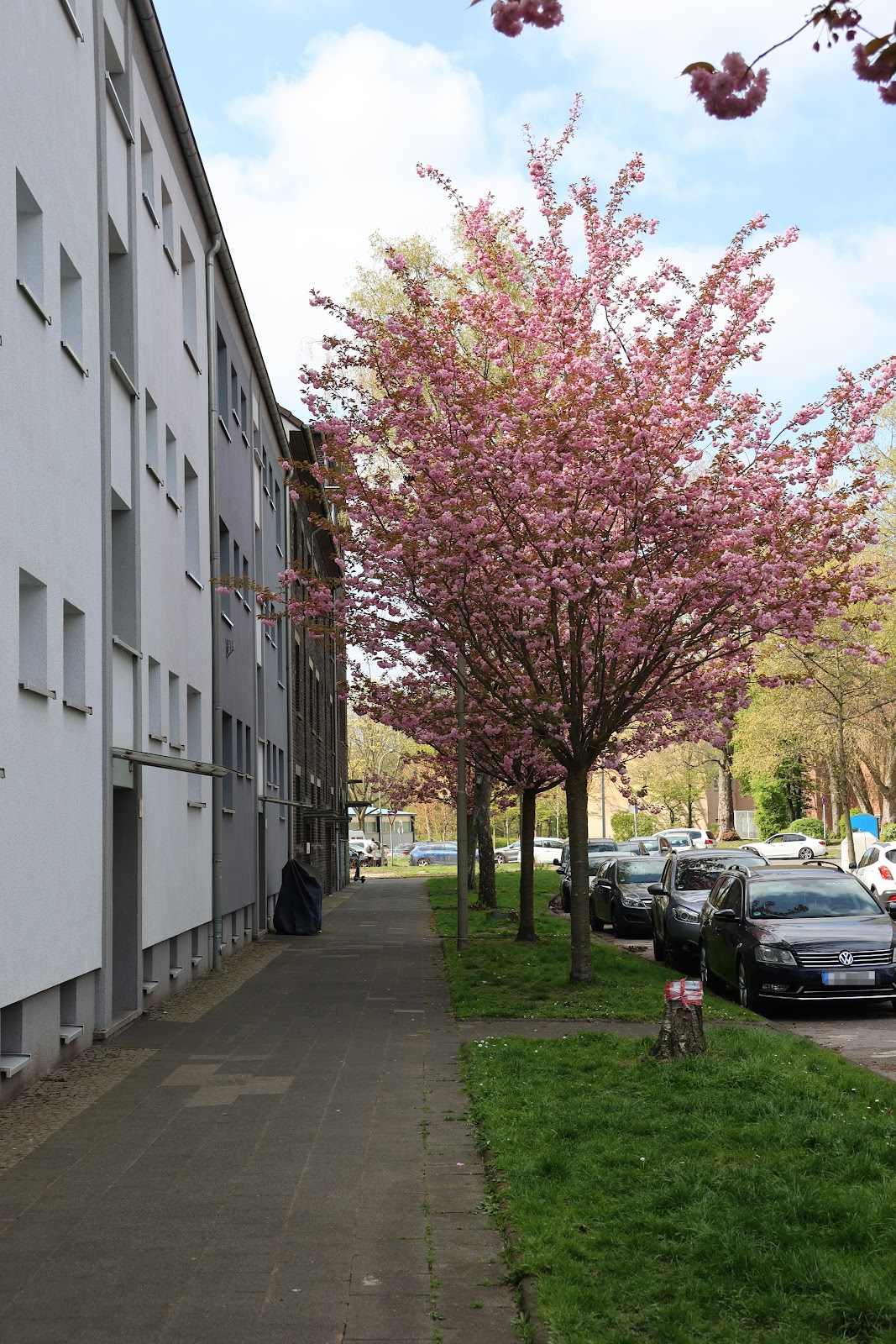Bild der Wohnung