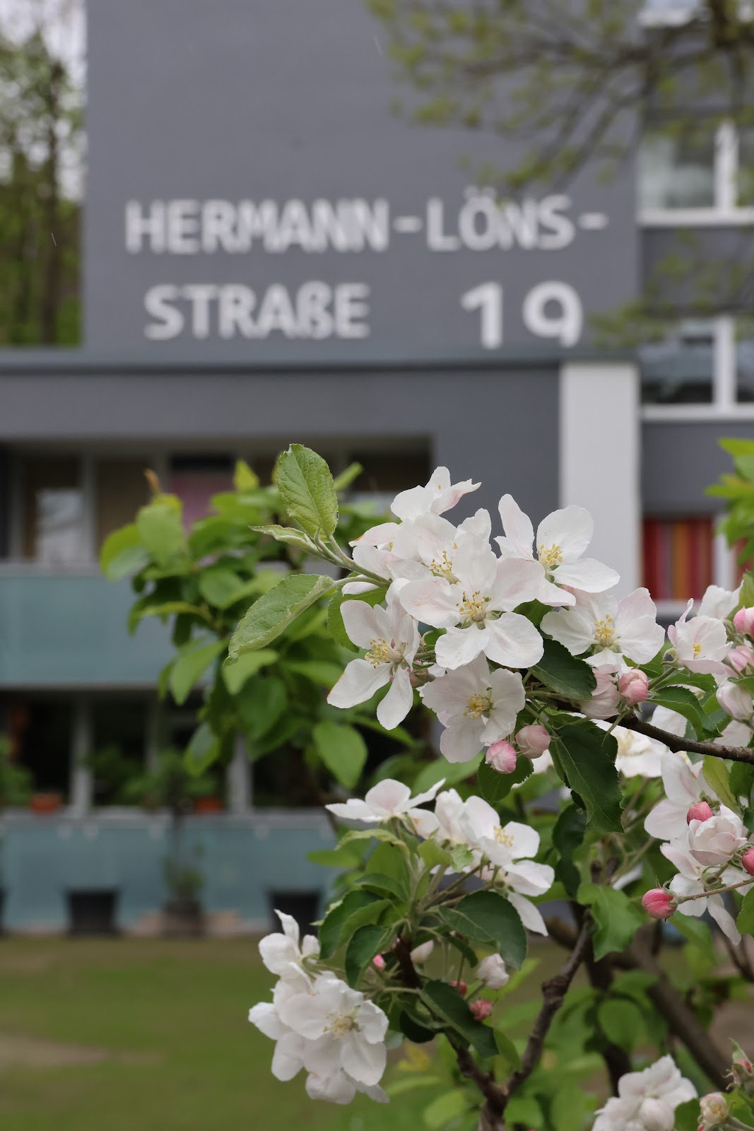 Bild der Wohnung